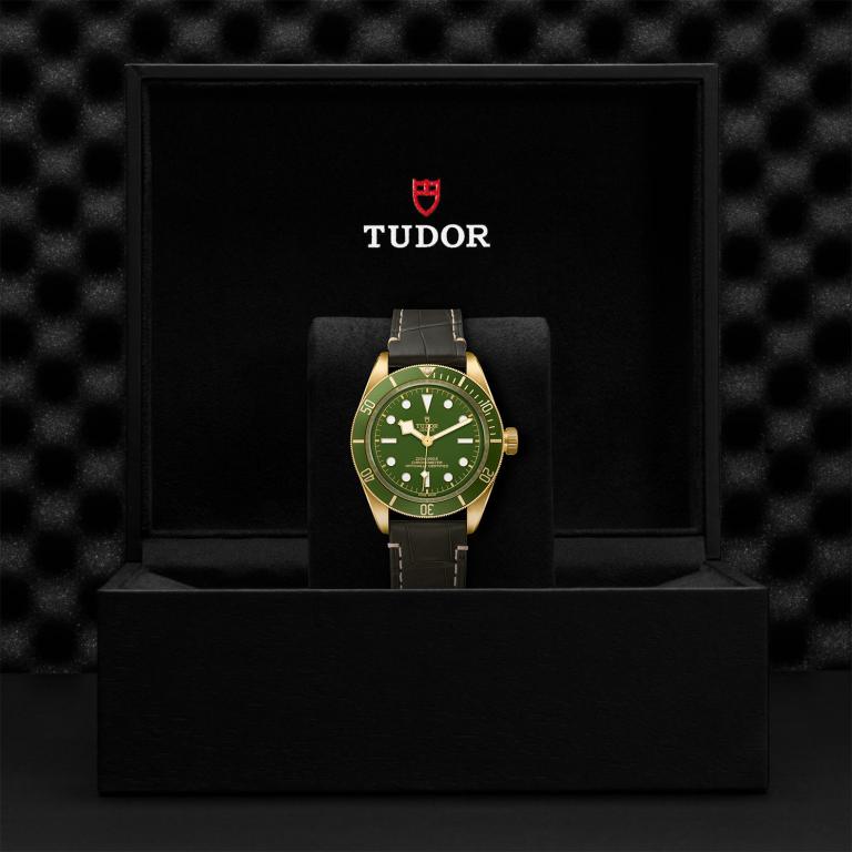 TUDOR Black Bay 58 18k M79018V-0001