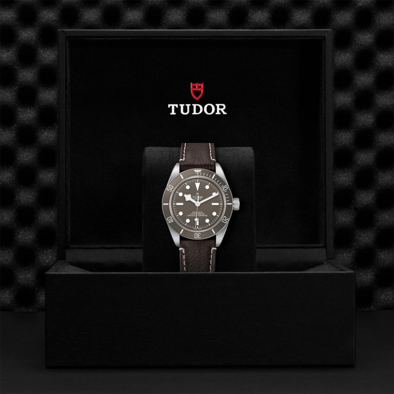 TUDOR Black Bay 58 925 M79010SG-0001