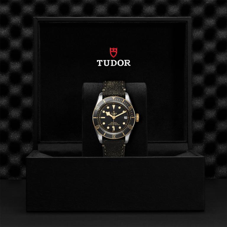 TUDOR Black Bay S&G M79733N-0007