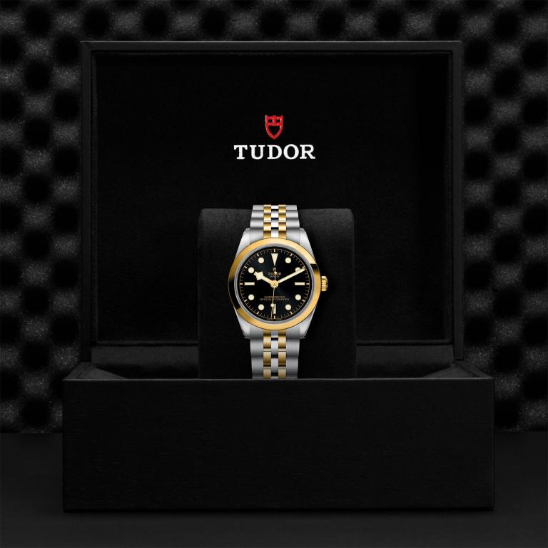 TUDOR Black Bay 36 S&G M79643-0001