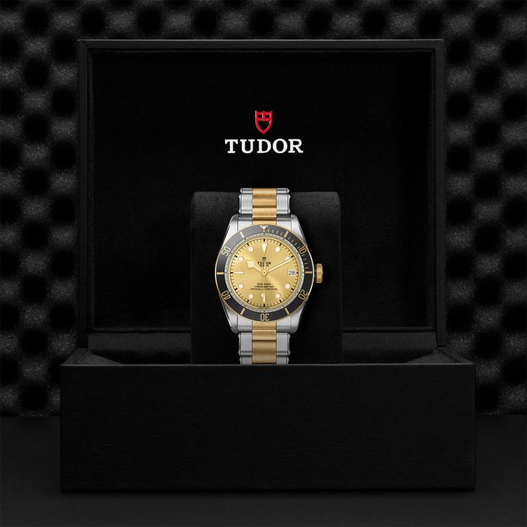 TUDOR Black Bay S&G M79733N-0004