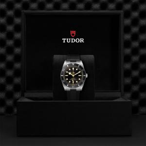 TUDOR Black Bay 54 M79000N-0002