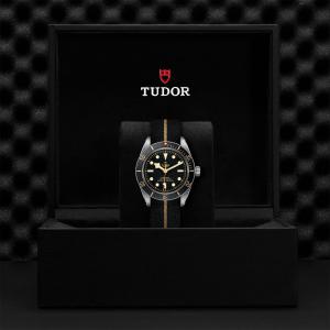 TUDOR Black Bay 58 M79030N-0003