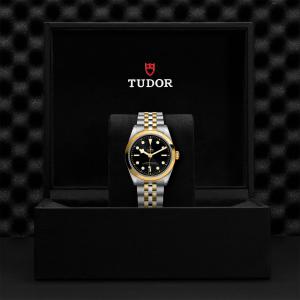 TUDOR Black Bay 36 S&G M79643-0001