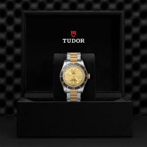 TUDOR Black Bay S&G M79733N-0004