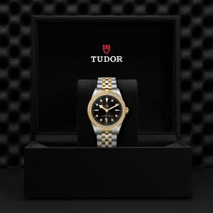TUDOR Black Bay 39 S&G M79673-0005