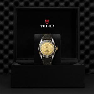 TUDOR Black Bay S&G M79733N-0003
