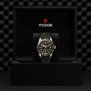 TUDOR Black Bay S&G M79733N-0007