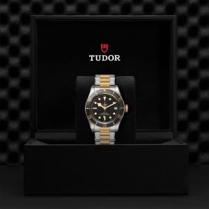 TUDOR Black Bay S&G M79733N-0008