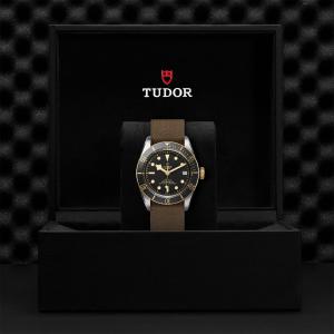 TUDOR Black Bay S&G M79733N-0005