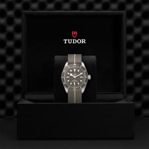 TUDOR Black Bay 58 925 M79010SG-0002