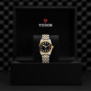TUDOR Black Bay 31 S&G M79603-0001