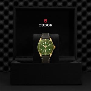 TUDOR Black Bay 58 18k M79018V-0001