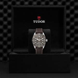 TUDOR Black Bay 58 925 M79010SG-0001