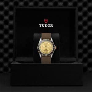 TUDOR Black Bay S&G M79733N-0006