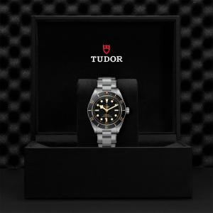 TUDOR Black Bay 58 M79030N-0001