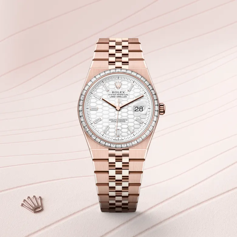 Rolex Land-Dweller 36腕錶18K永恒玫瑰金款，M127285TBR-0002 | 正泰鐘錶