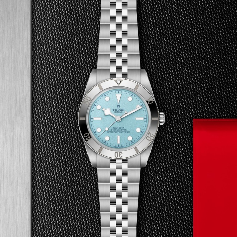 Black Bay 54 M79000-0001
