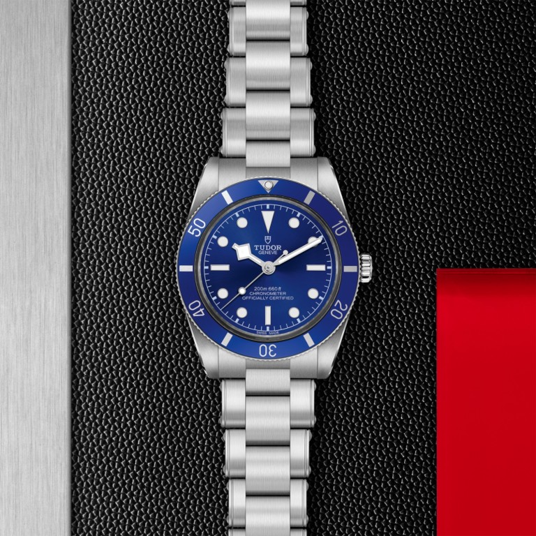 Black Bay 54 M79000B-0001