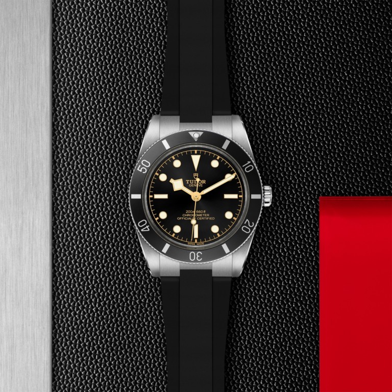 Black Bay 54 M79000N-0002