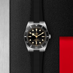 Black Bay 54 M79000N-0002