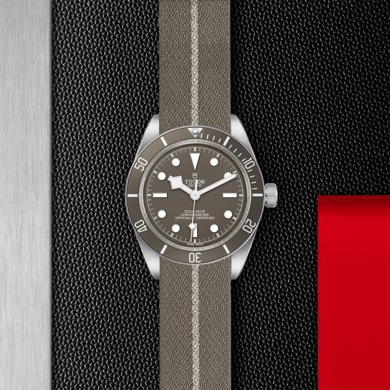 Black Bay 58 925 M79010SG-0002