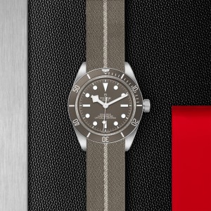 Black Bay 58 925 M79010SG-0002