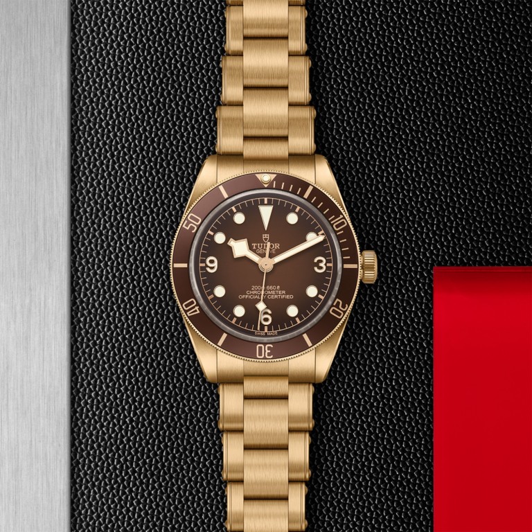 Black Bay 58 Bronze M79012M-0001