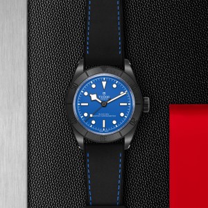 Black Bay Ceramic M79210CNU-0007