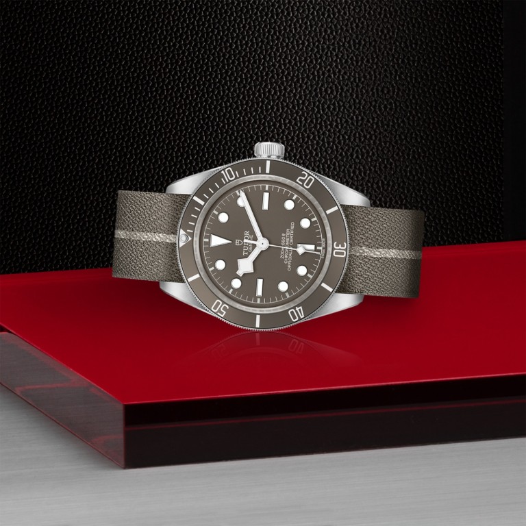 Black Bay 58 925 M79010SG-0002
