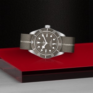 Black Bay 58 925 M79010SG-0002