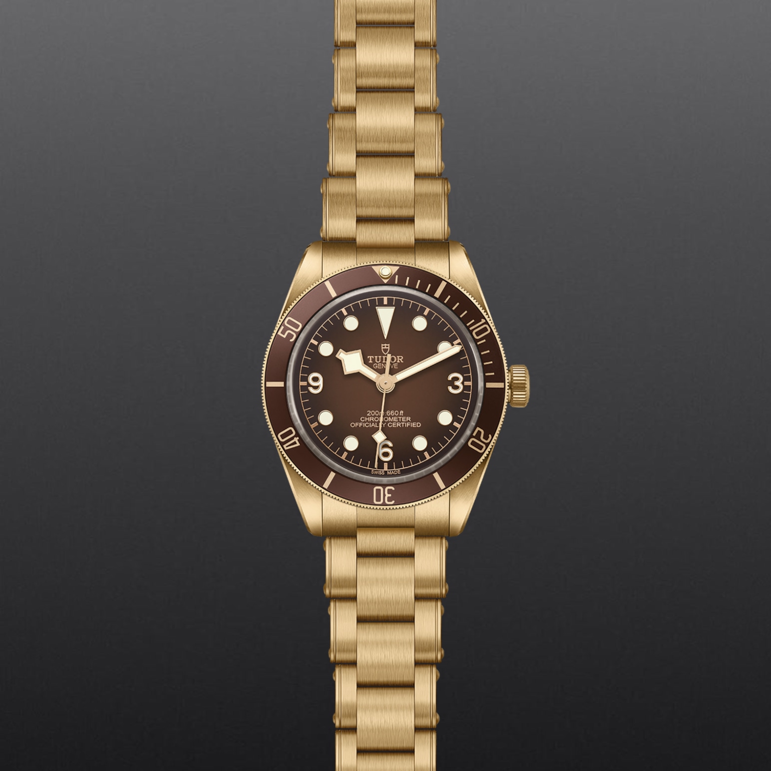Black Bay 58 Bronze