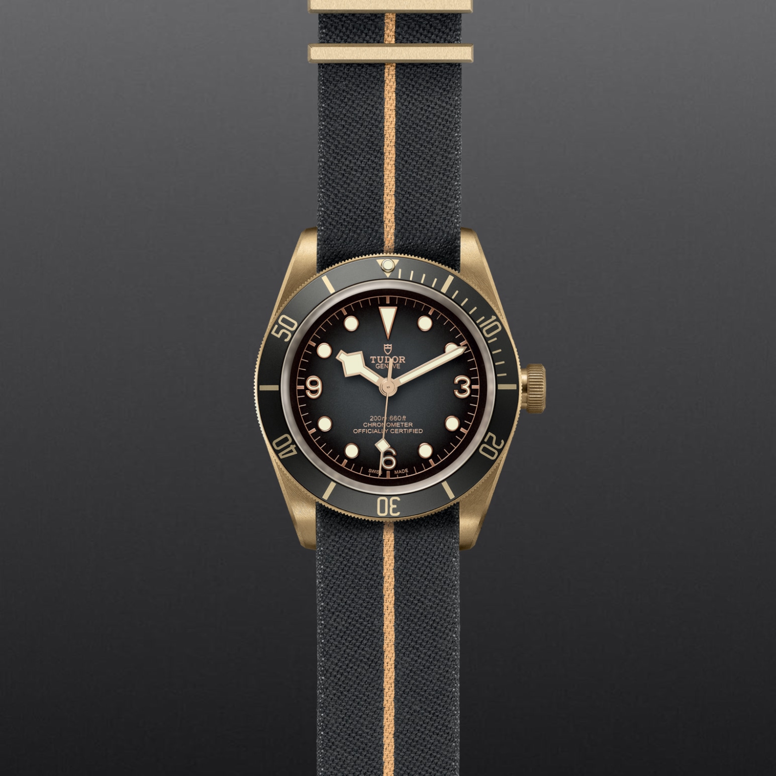 Black Bay Bronze